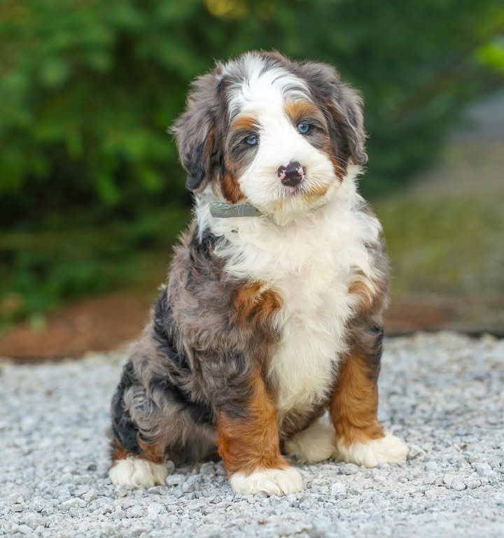 whatsapp image 2025 11 08 at 10.32.56 am