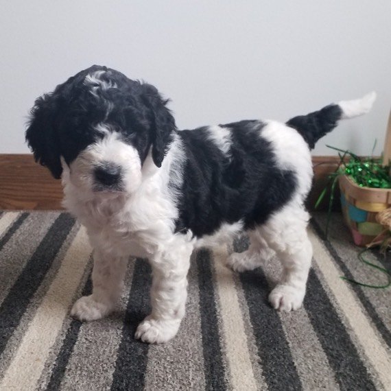 whatsapp image 2025 11 08 at 10.33.02 am