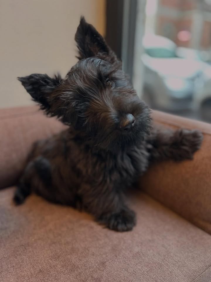 whatsapp image 2025 11 08 at 10.33.04 am